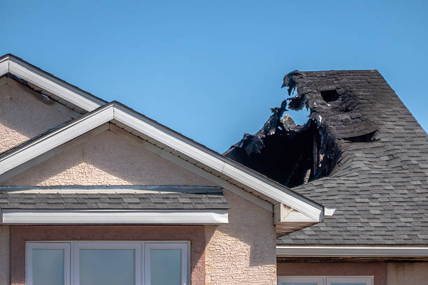 Top rated local Smoke Damage Removal specialists in North Brunswick, NJ
